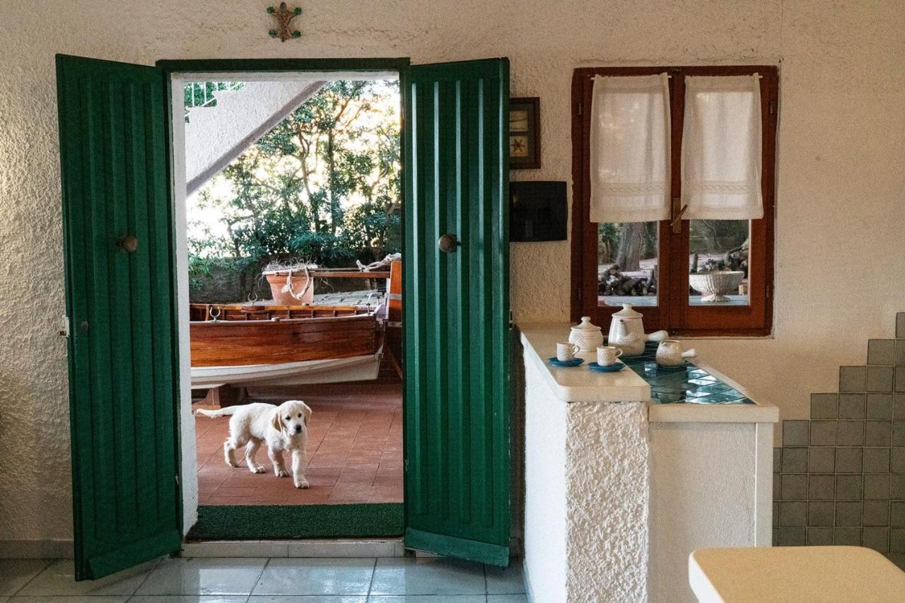 Villa Angela Santa Teresa Gallura Eksteriør billede